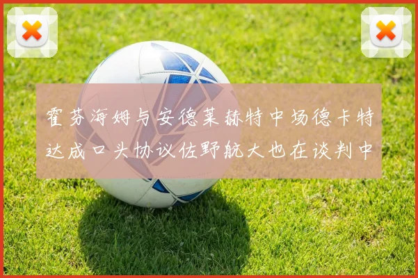 霍芬海姆与安德莱赫特中场德卡特达成口头协议佐野航大也在谈判中