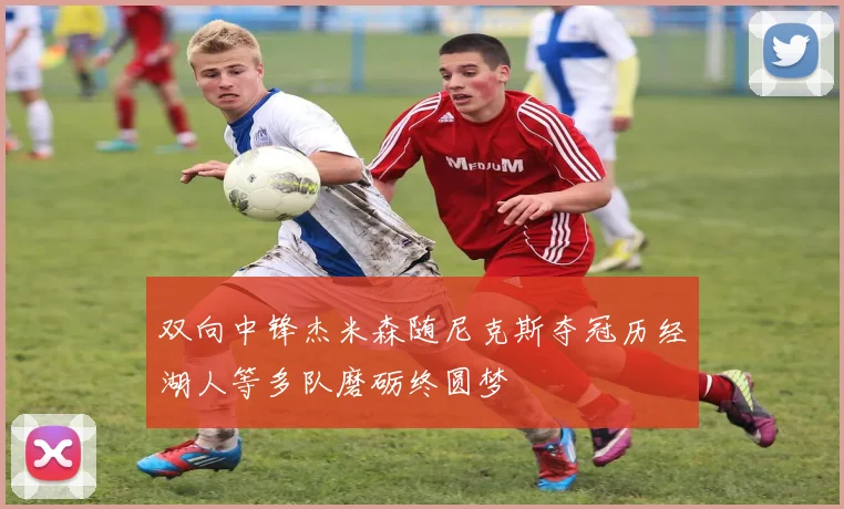 双向中锋杰米森随尼克斯夺冠历经湖人等多队磨砺终圆梦