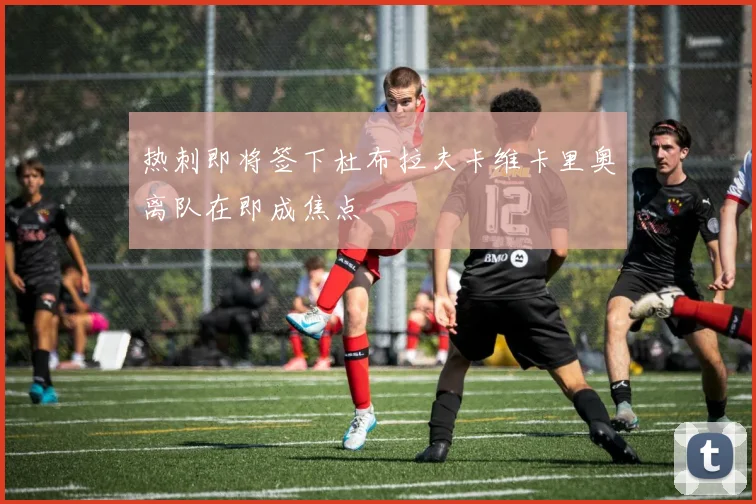 热刺即将签下杜布拉夫卡维卡里奥离队在即成焦点